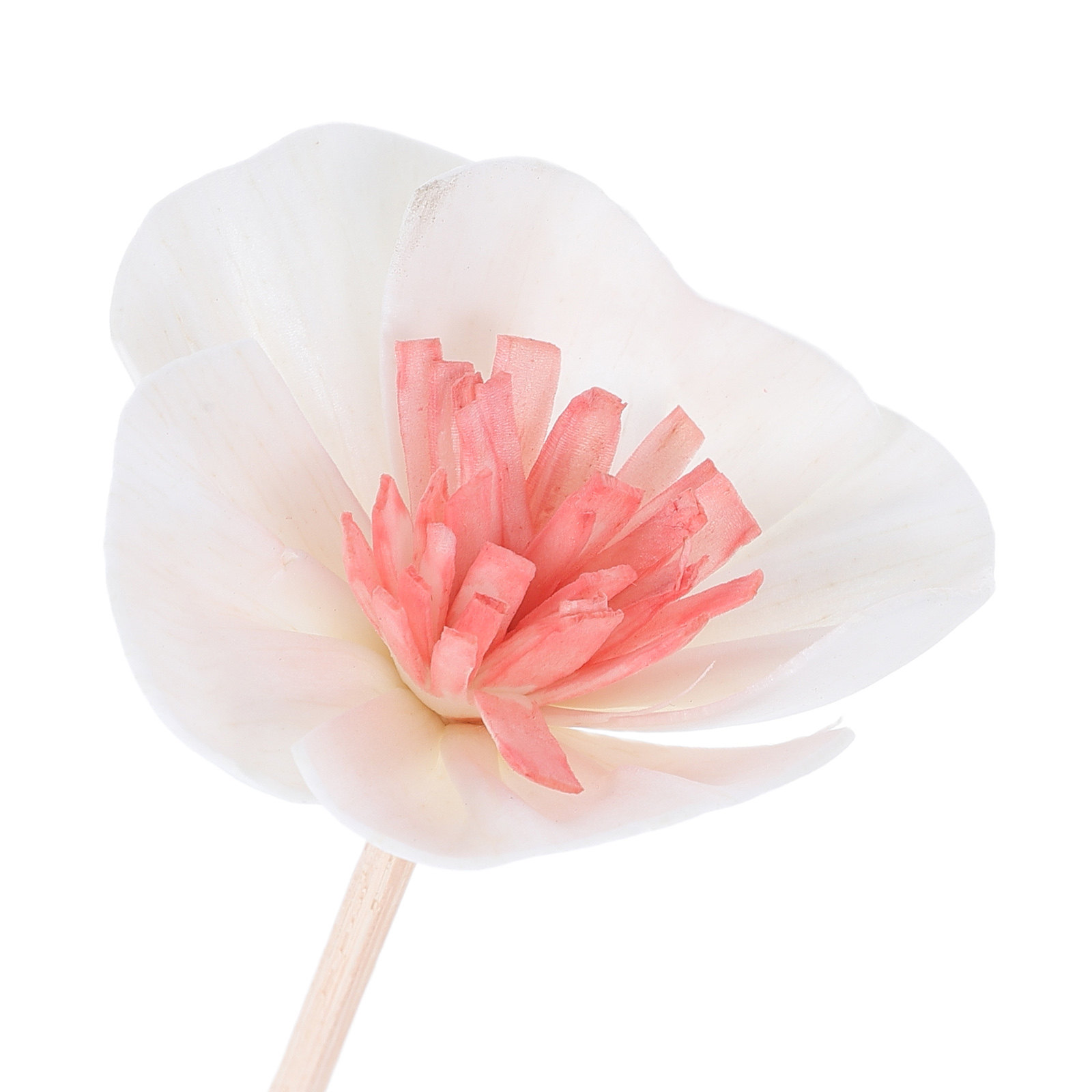 10本入り エッセンシャルオイルディフューザースティック ブ - Home Fragrance Diffuser のレビューと価格