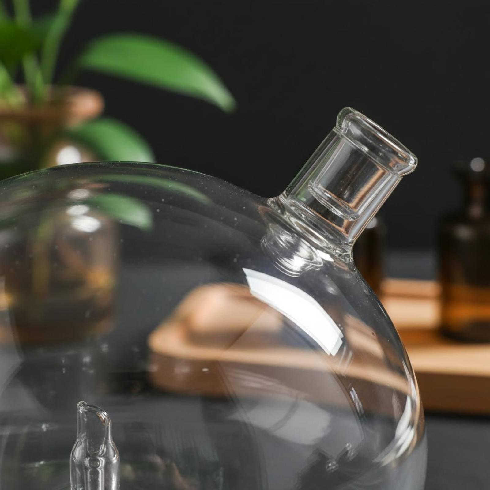 ディフューザーボトル ユニバーサルフィット ガラス交換用 ウ - Home Fragrance Diffuser のレビューと価格
